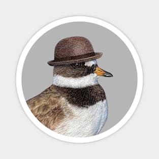 Common ringed plover Magnet